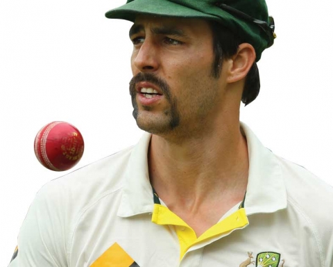 Cricket Moustache