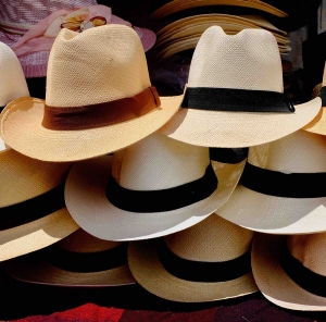 panama-hats