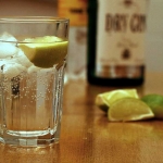 gin-and-tonic